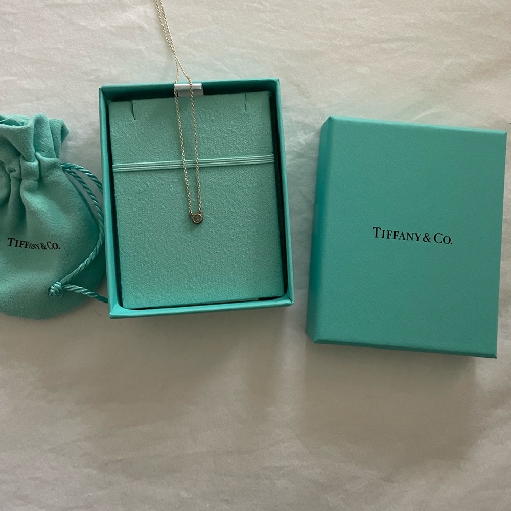 Tiffany and Co Elsa Peretti®
Color by the Yard Aquamarine Pendant
